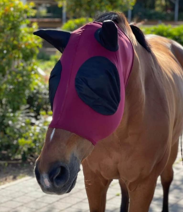 Lycra mask 
